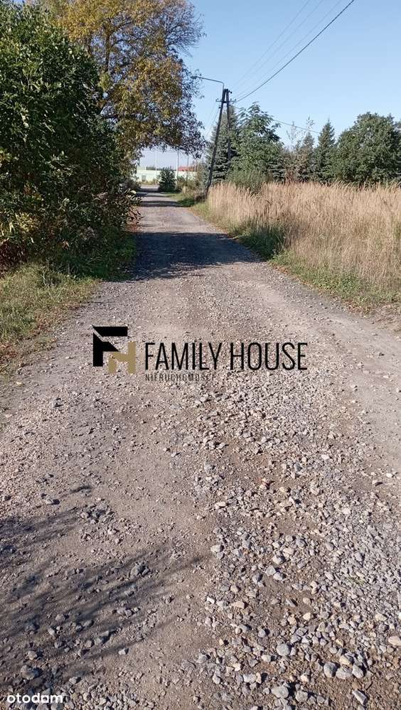 4000m2 w okazyjnej cenie - Pełny obrazek: 4/4