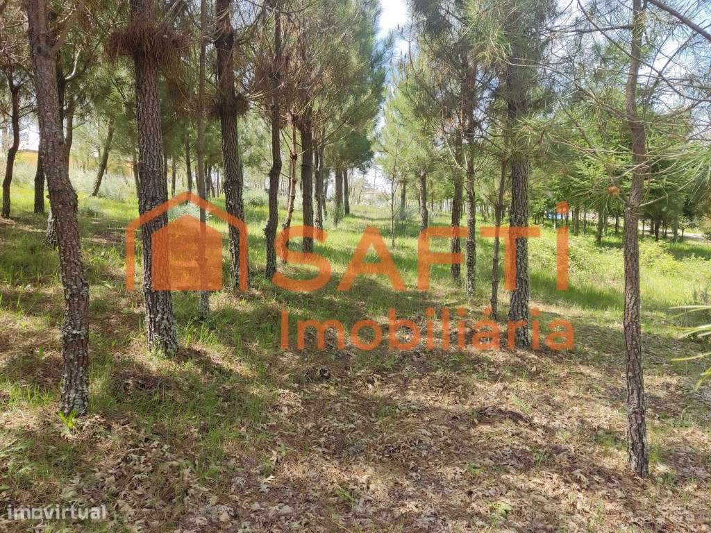 Terreno urbano em Casal de Cinza - Grande imagem: 4/20