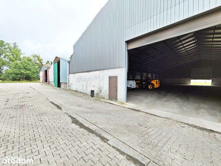 Lokal użytkowy, 26 472 m², Baszewice-9