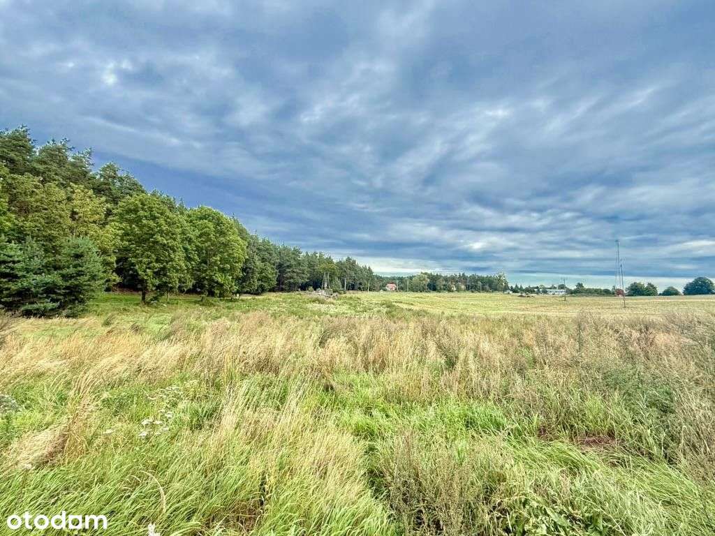 Działka, 6 000 m², Demlin-1