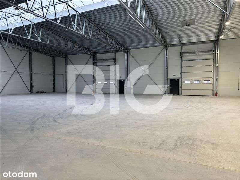 Nowy, samodzielny obiekt magazynowy - Pełny obrazek: 5/9