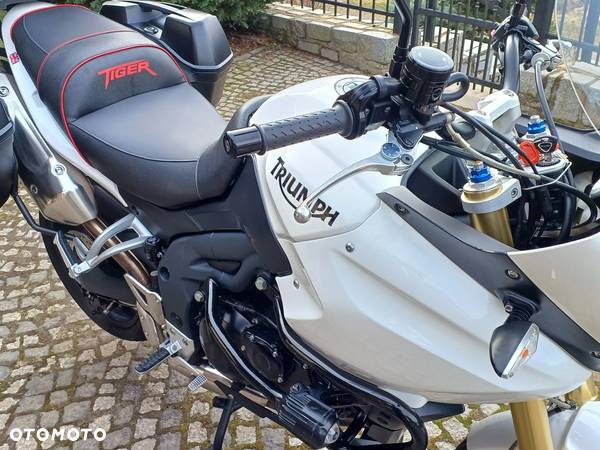 Triumph Tiger - 37