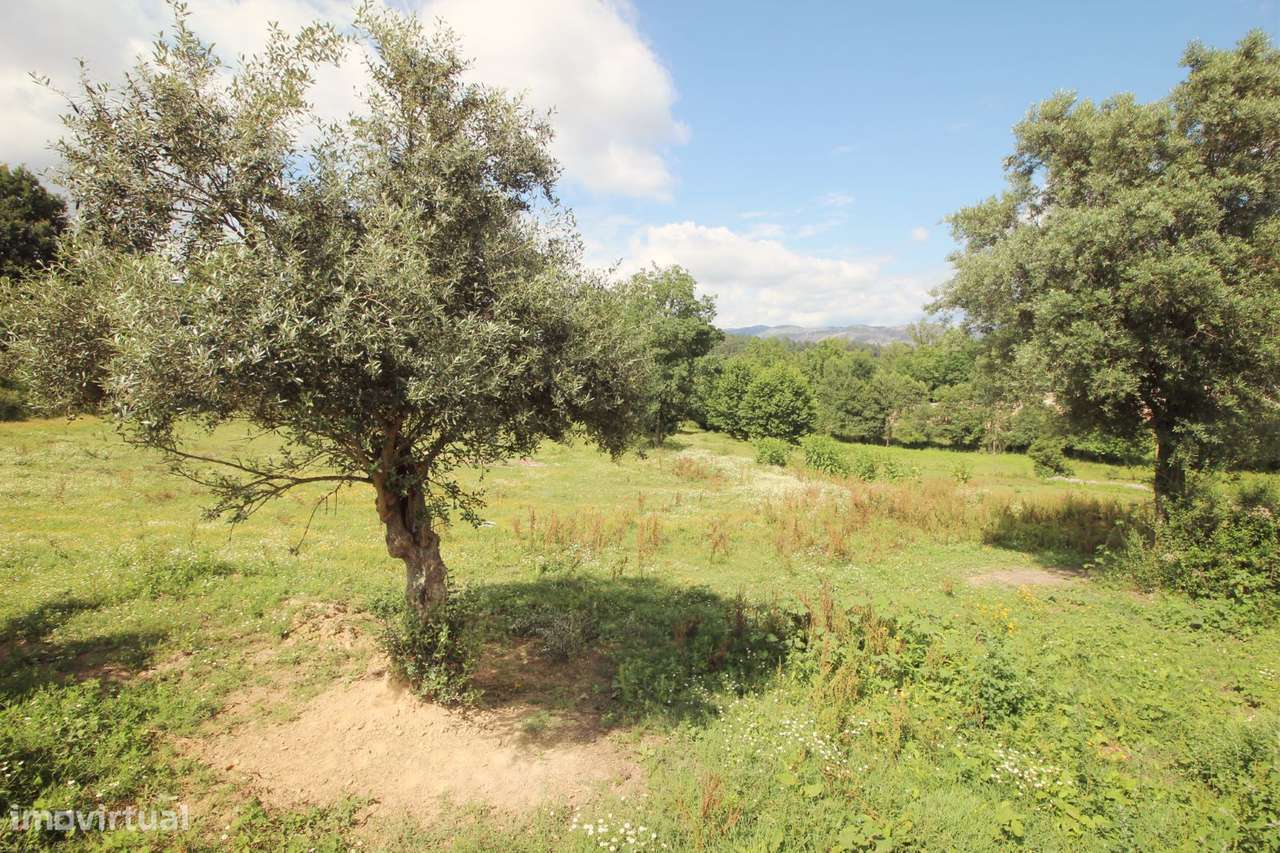 Quinta  Venda em Cabeceiras de Basto,Cabeceiras de Basto - Grande imagem: 5/9