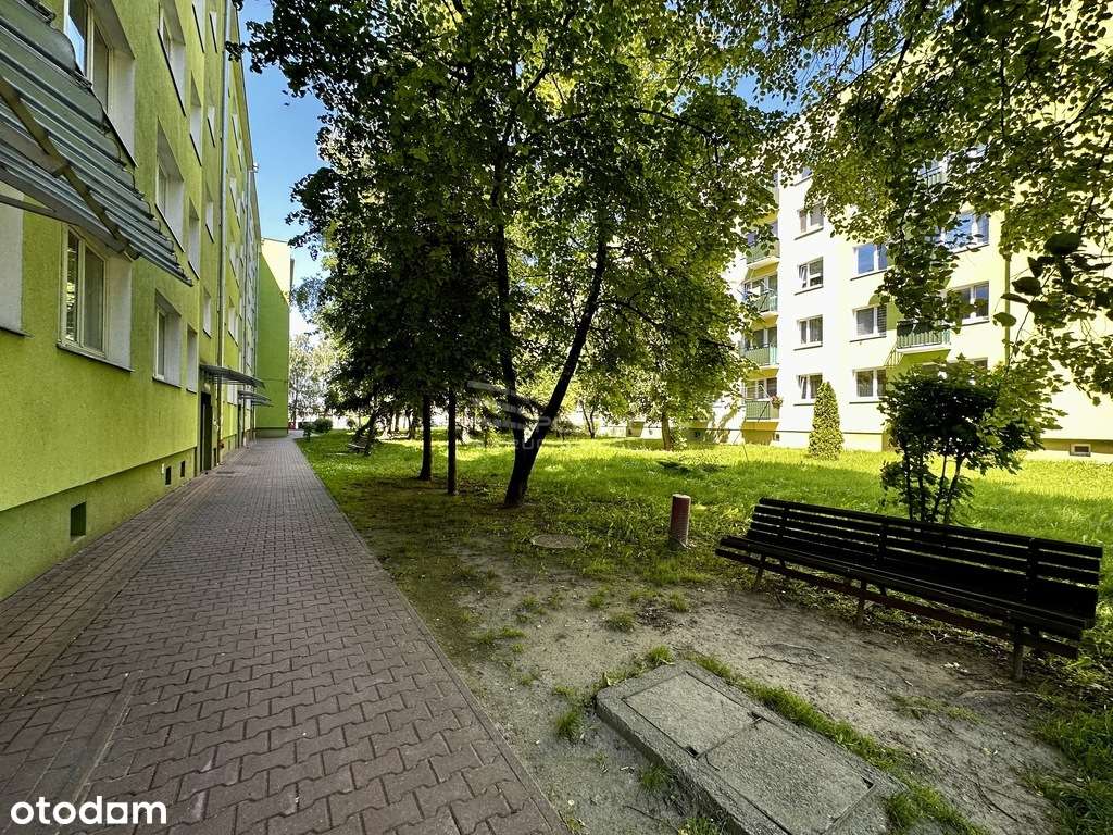 M3 przy Carrefourze w Chełmie- parter z balkonem - Pełny obrazek: 4/6