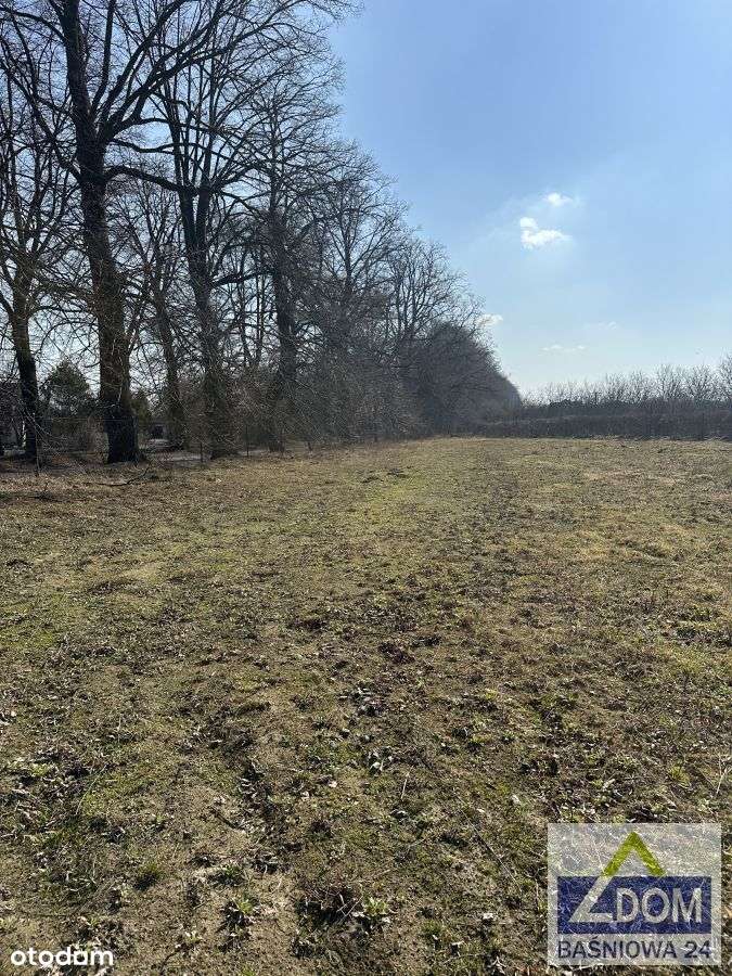 Nasutów - działka budowlana przy Al.Lipowej-5