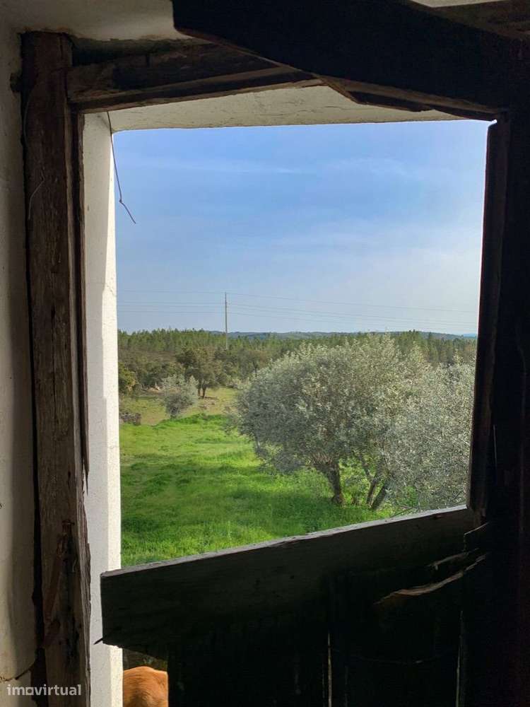 Quintinha com Casas em Xisto-17