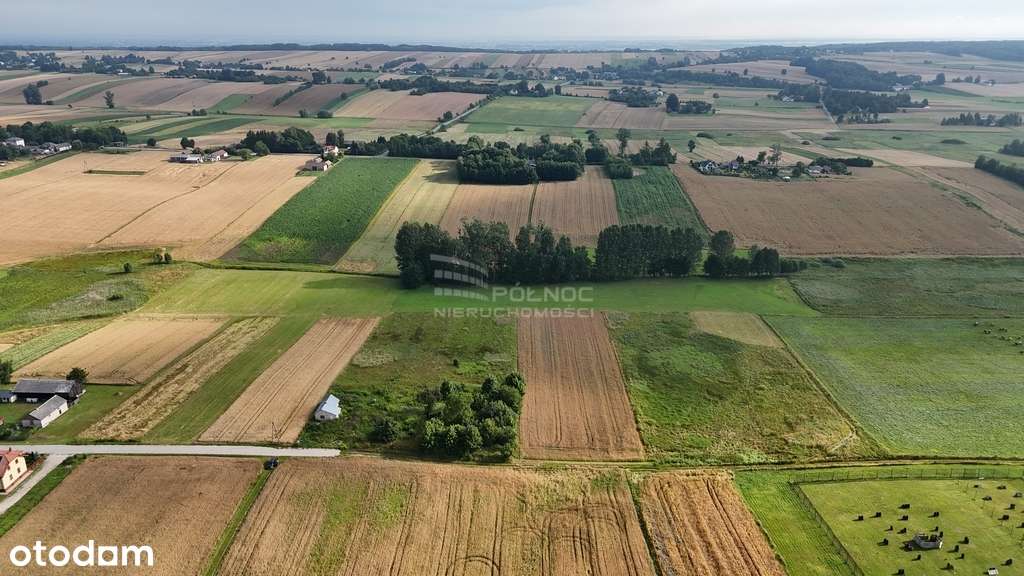 Sprzedam siedlisko w Bożej Woli gm. Adamów - Pełny obrazek: 4/15