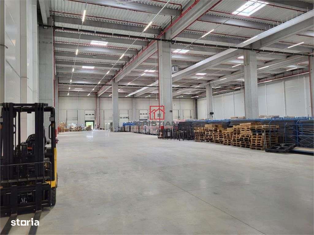 Inchiriere depozithalaspatiu industrial Mogosoaia - Centura, Ilfov - Imagine principală: 5/8