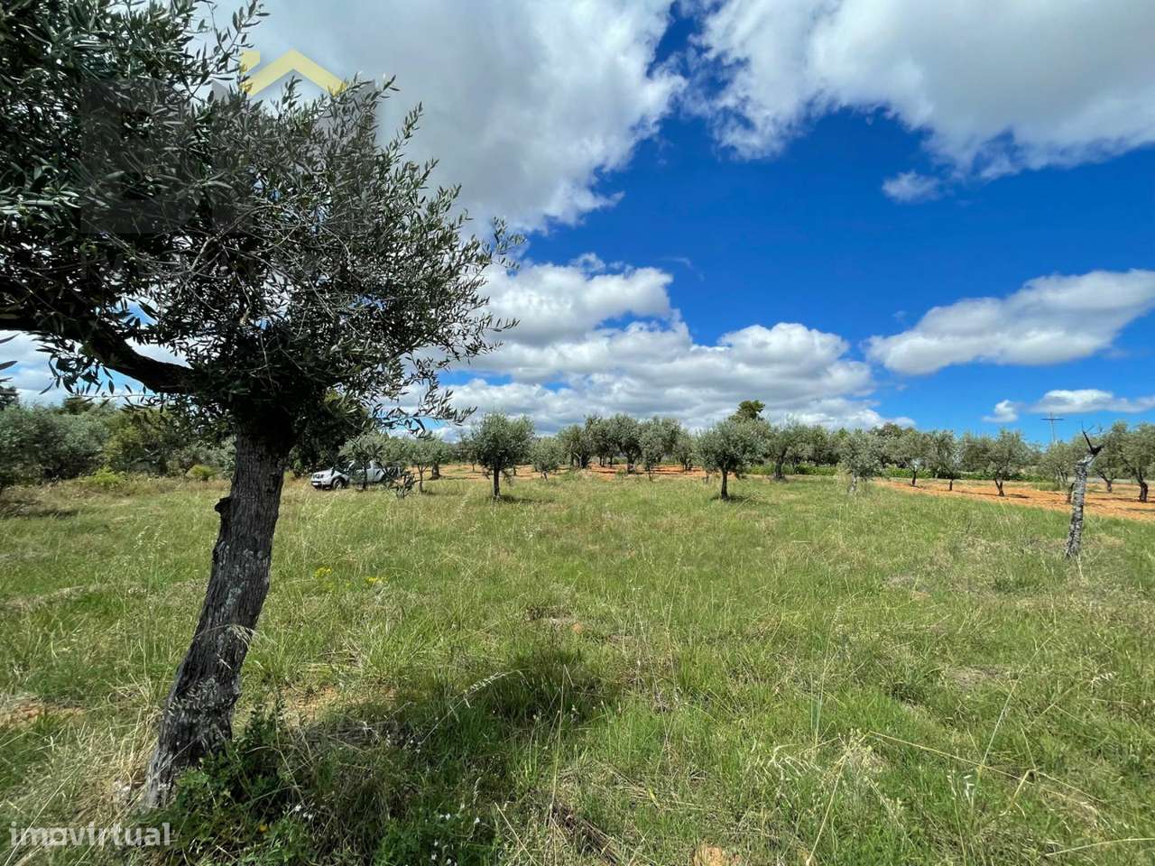 Terreno Rústico  Venda em Ninho do Açor e Sobral do Campo,Castelo Bran - Grande imagem: 4/10