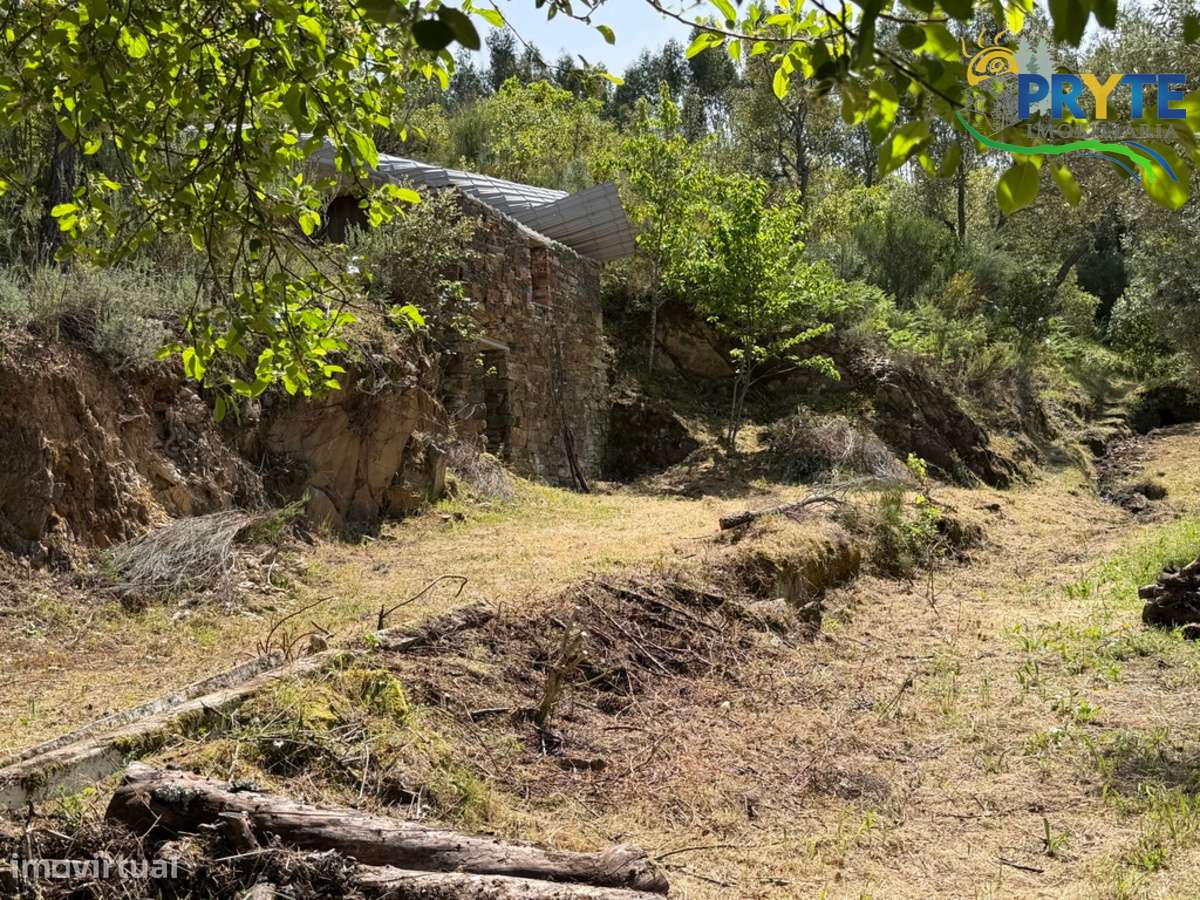 Terreno com uma ruína não registada a 6 quilómetros da Sertã-38