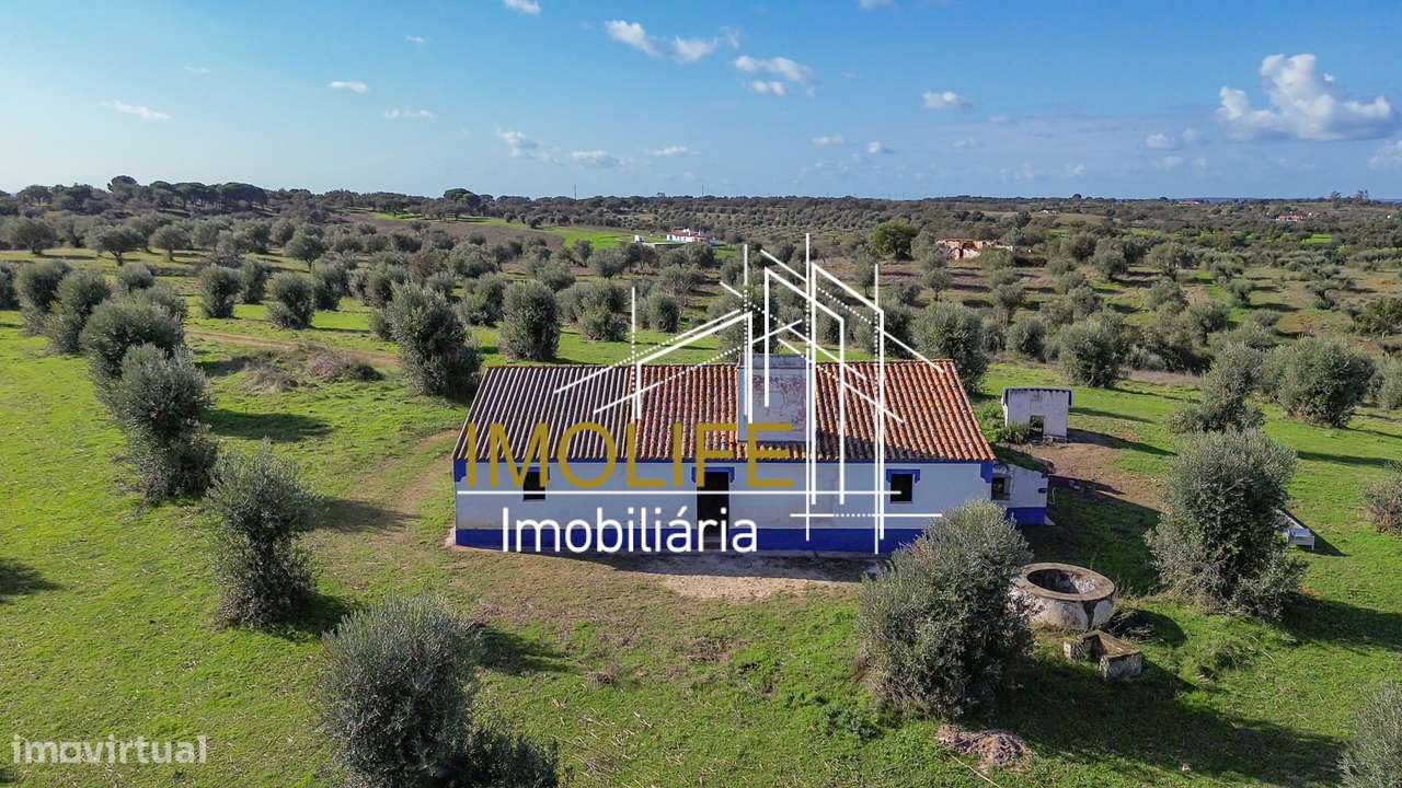 Monte Courela da Boavista - Tesas - Malarranha-56