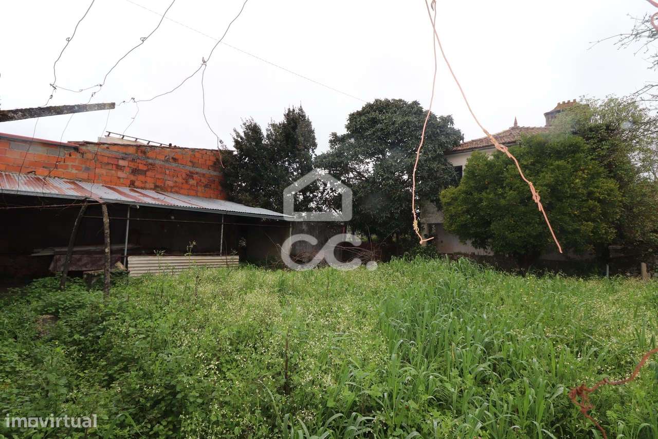 Moradia Térrea com terreno em Chão de Couce - Ansião-12