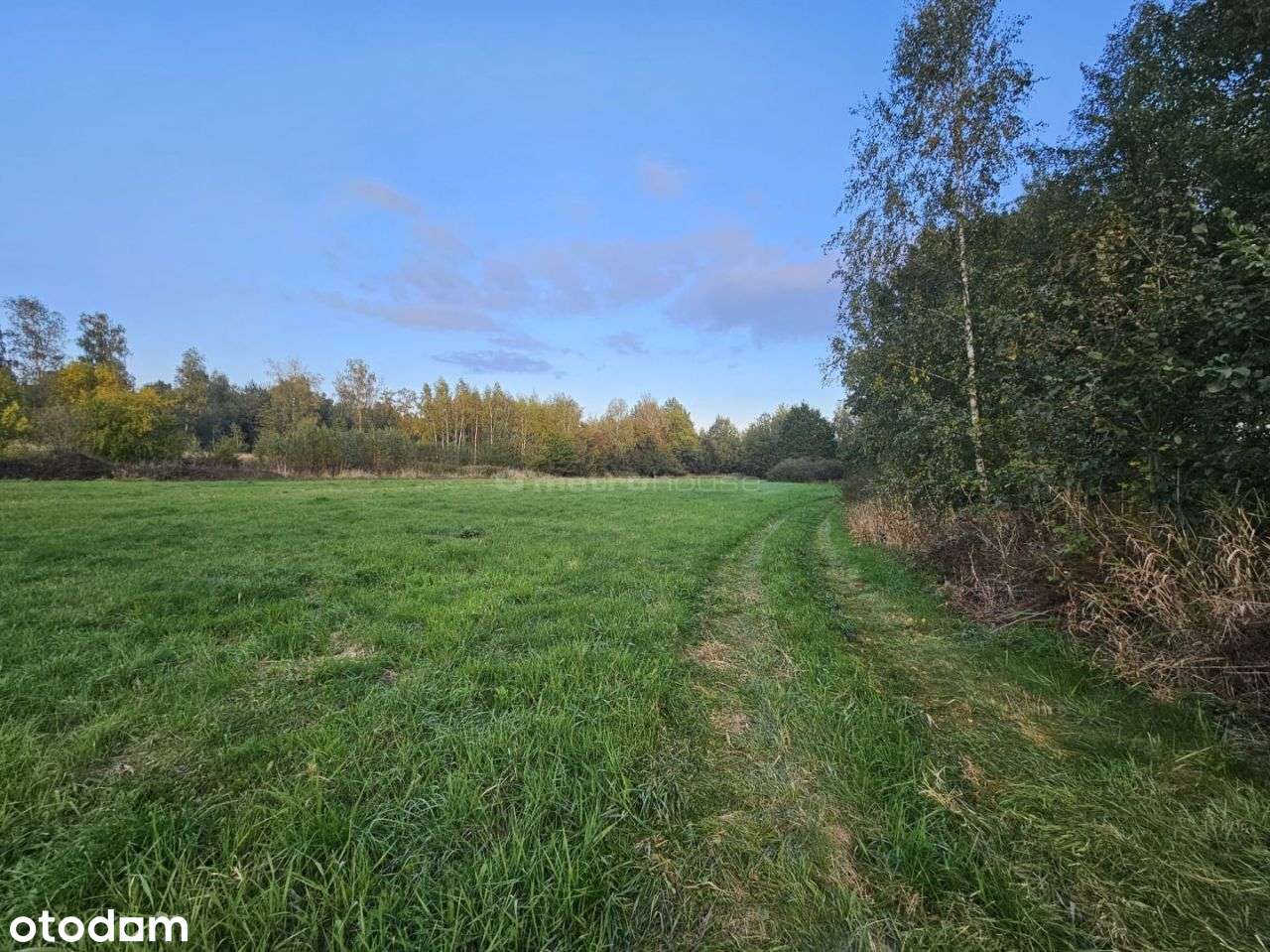 Działka, 1 000 m², Teodorów - Pełny obrazek: 4/12