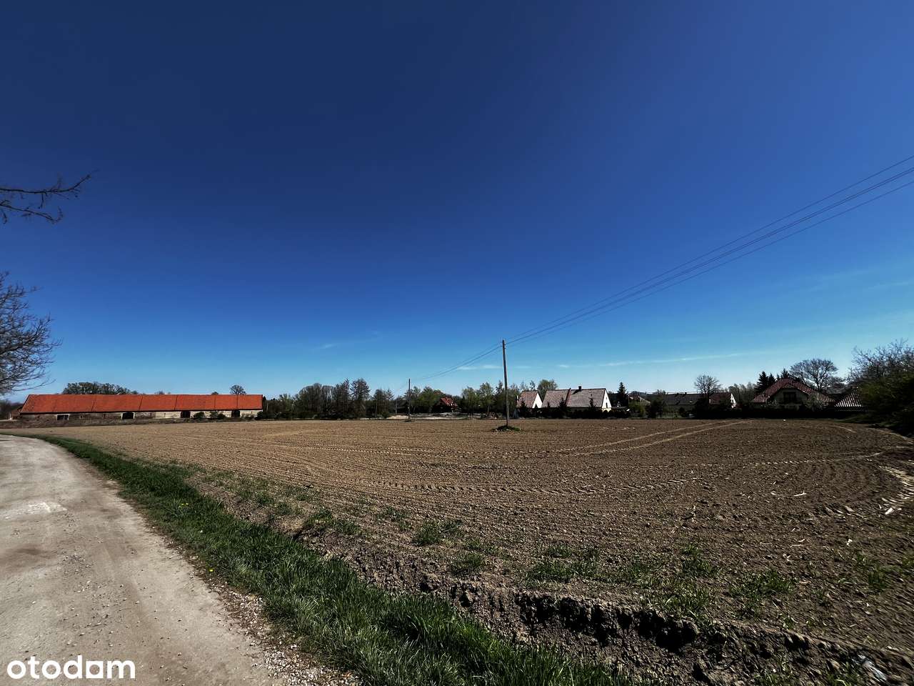 Duża 50 arowa działka z miejscowym planem zagospodarowania Pieszyce-6