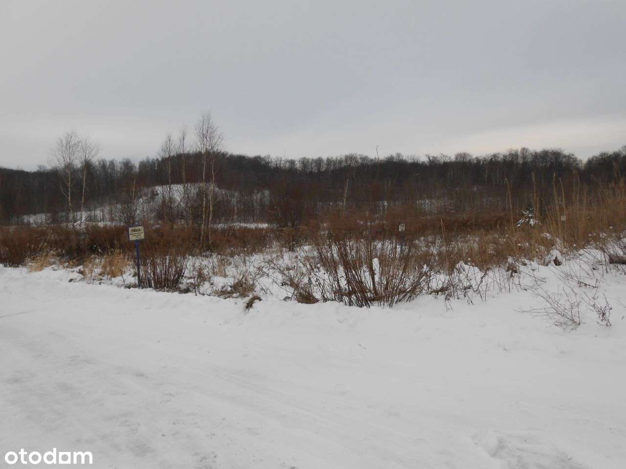 Jagodnik-działka do sprzedaży-3