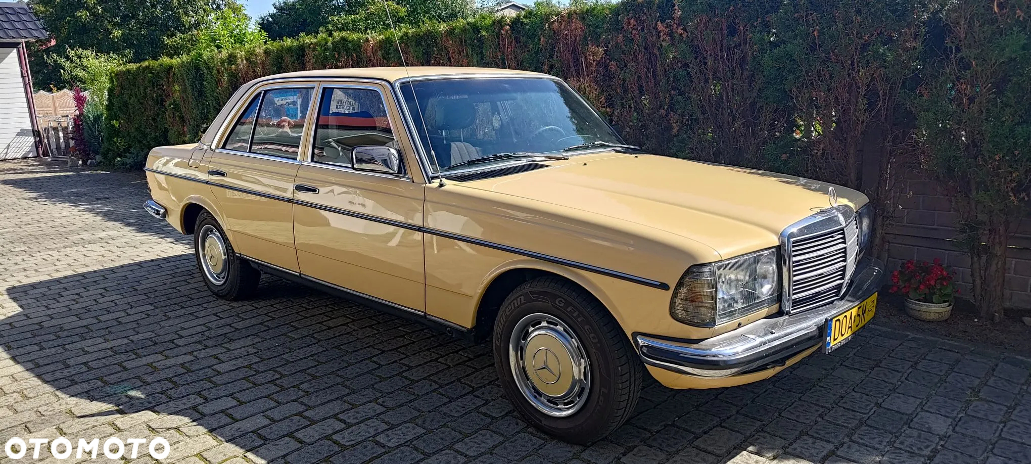 Mercedes-Benz W123 - 2