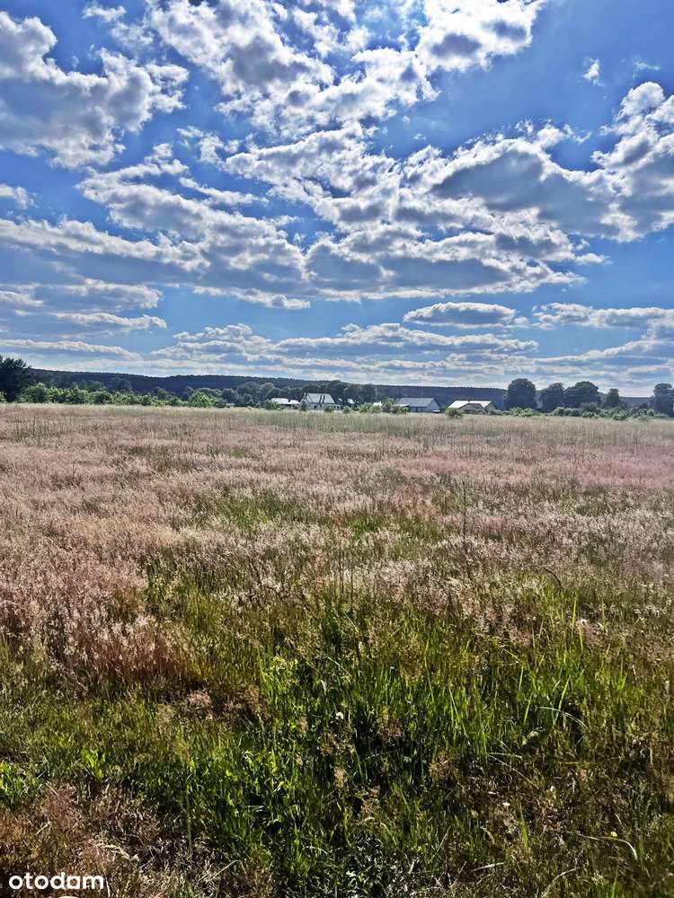 Wyłączność najtańsze działki z WZ w Z.Górze-3