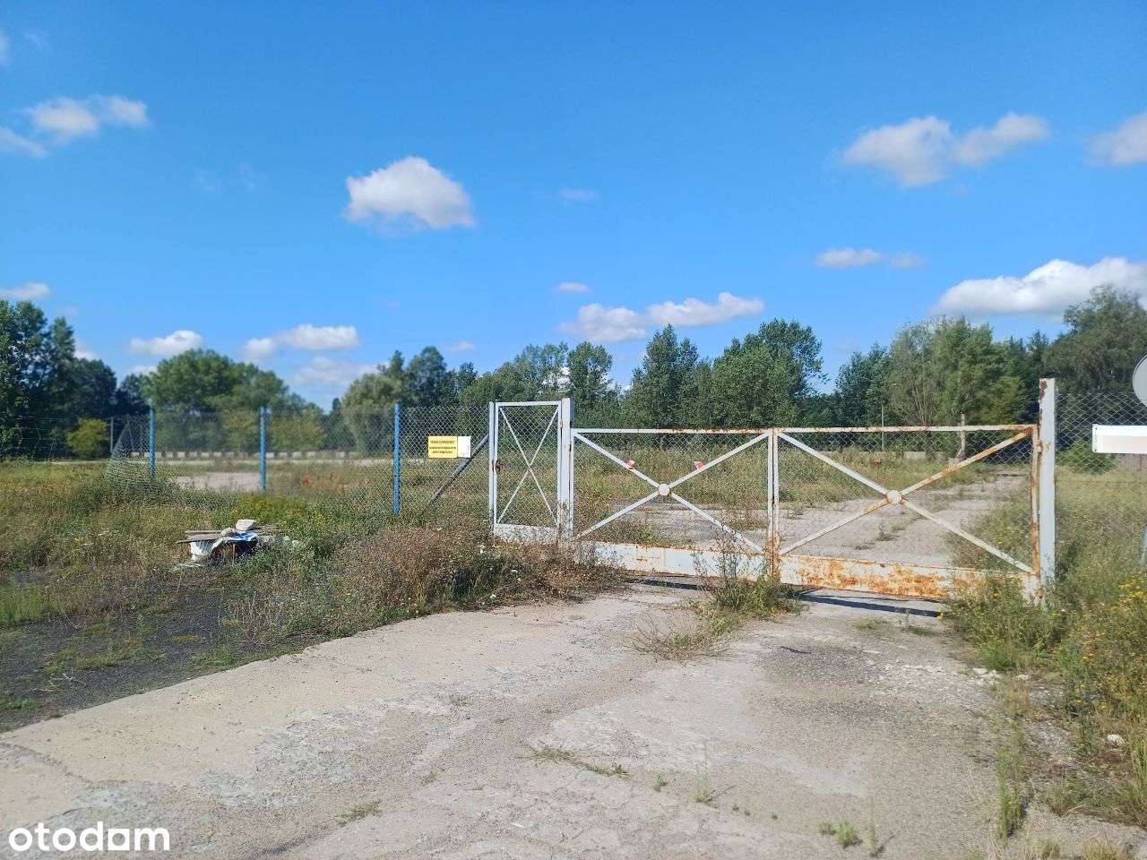 Grunt inwestycyjny (produkcja, magazyny) Toruń-5