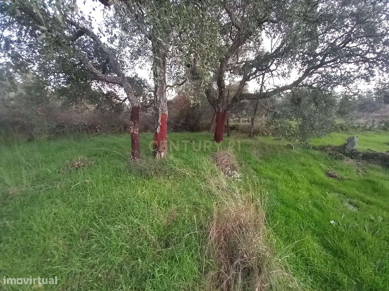 Terreno com Vista Panorâmica em Aldeia de Santa Margarida - Grande imagem: 5/7