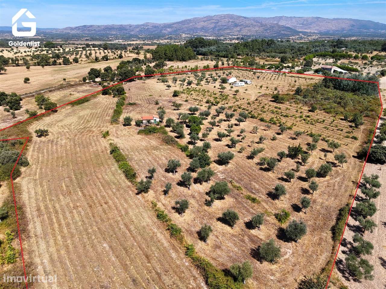 Quinta  Venda em Lardosa,Castelo Branco-31