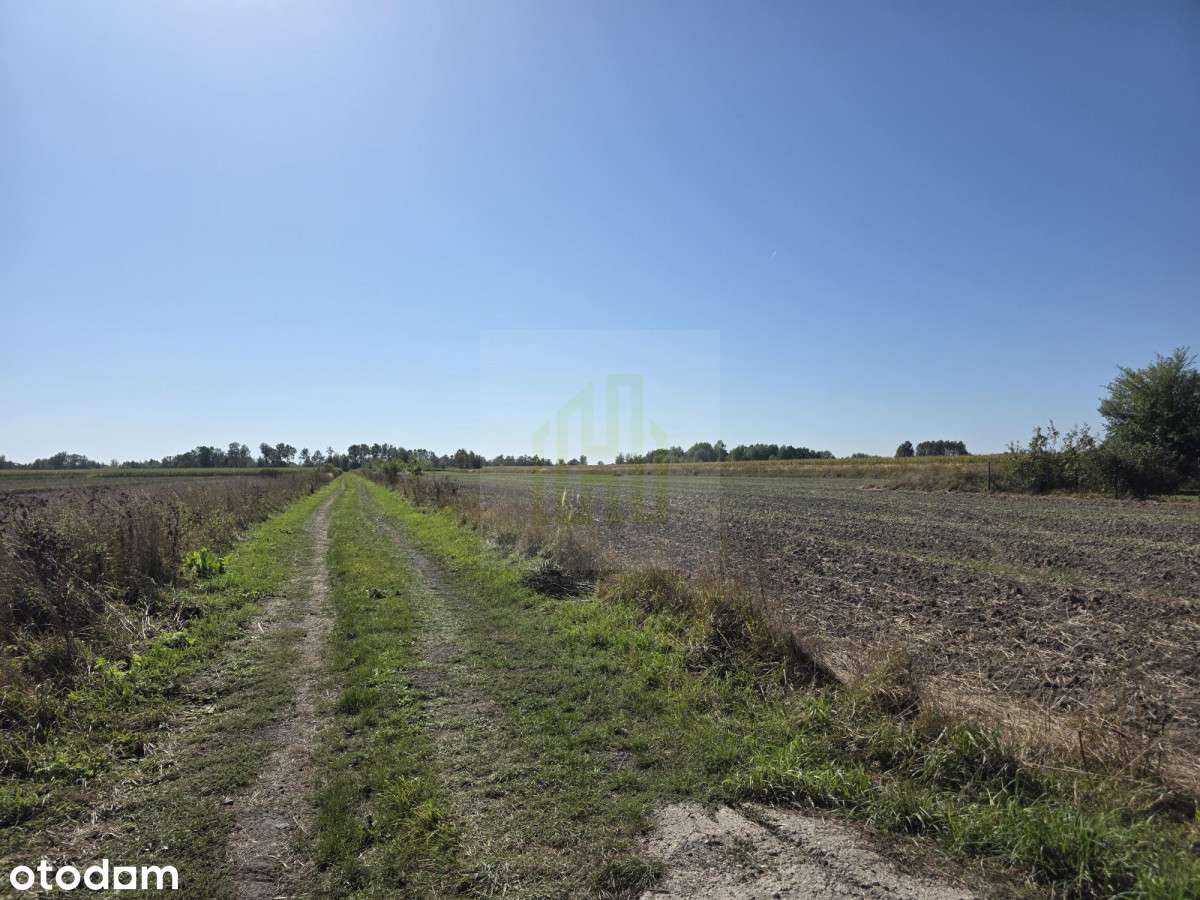 Urokliwa działka pod Błoniem - Pełny obrazek: 5/16