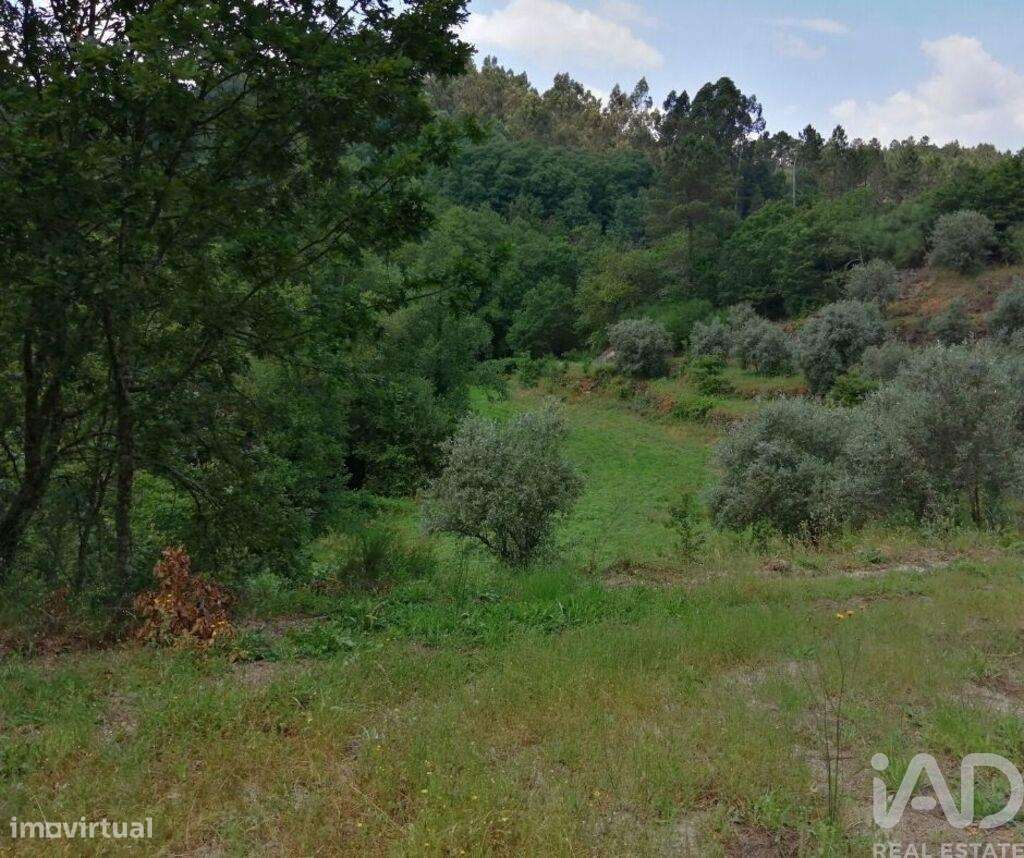 Terreno em Parada de Gonta de 100000,00 m2 - Grande imagem: 5/14