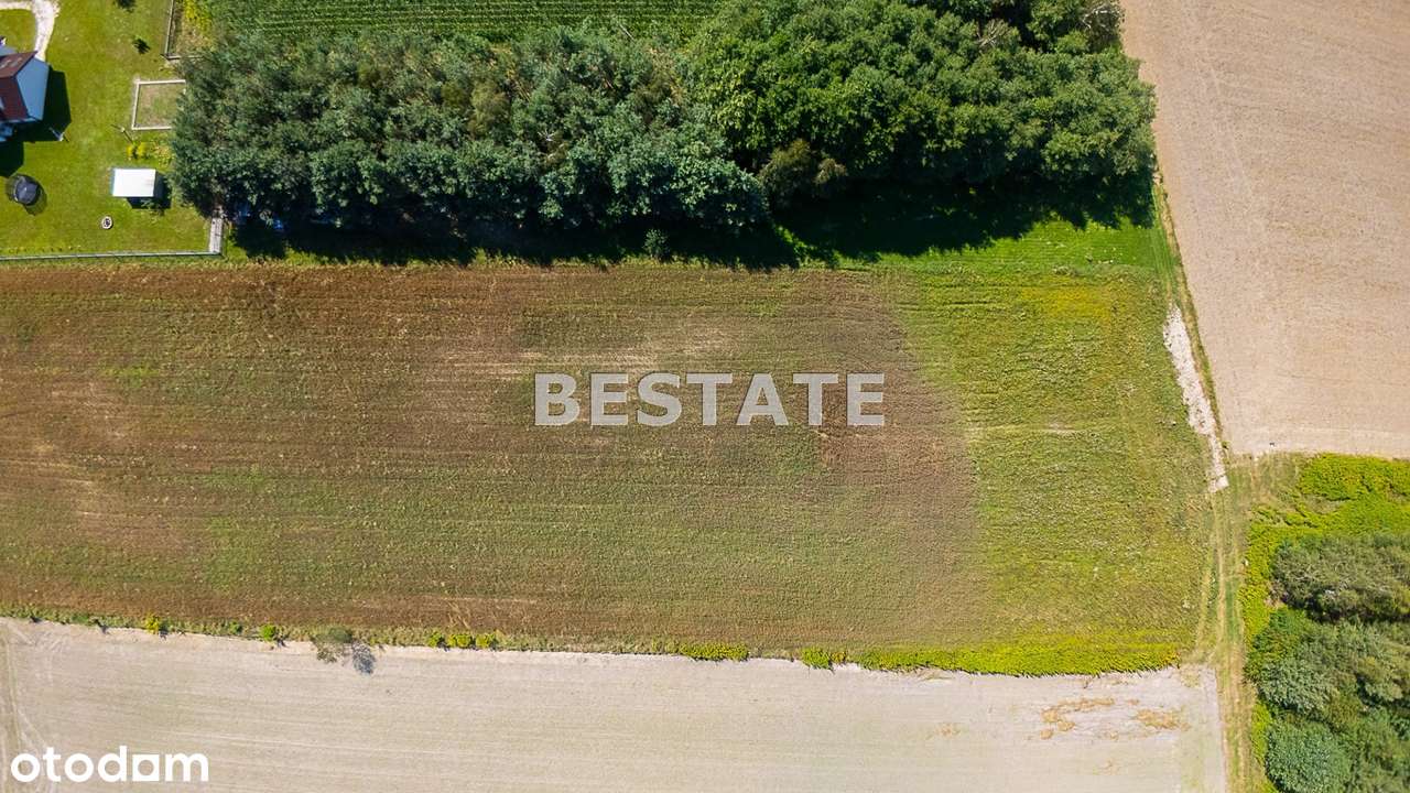 Działka budowlana w Śmignie - Pełny obrazek: 5/5