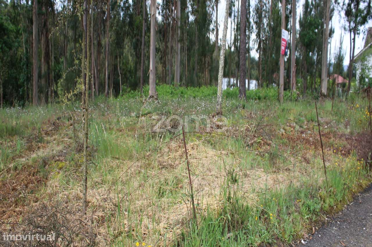 Lote com 45% de Implantação - Grande imagem: 4/23