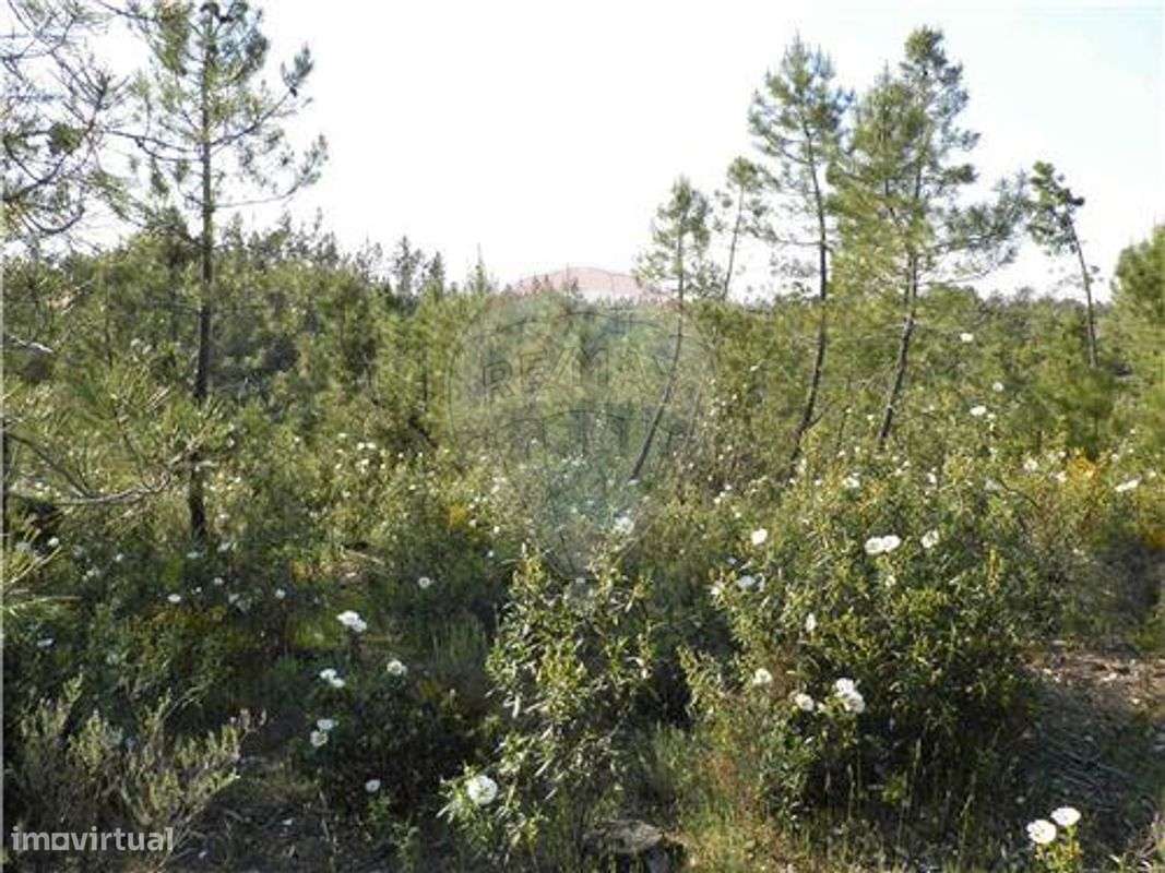 Quinta T0 para venda - Grande imagem: 3/14