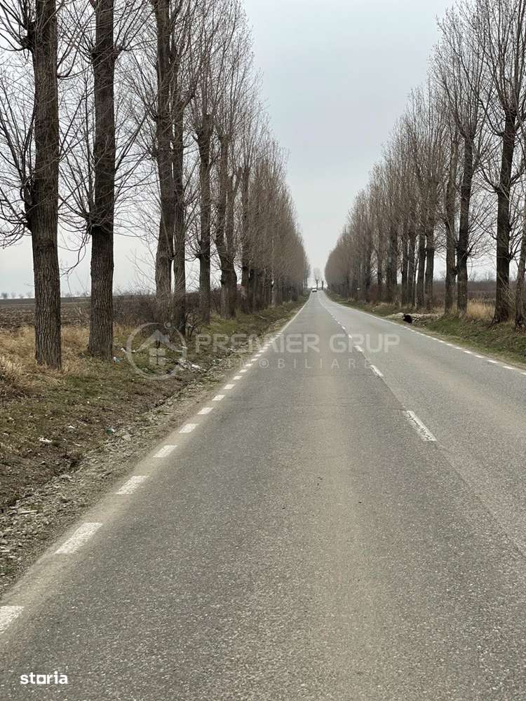 Teren Miroslava - Ferma Liliac, 20.000mp - Imagine principală: 5/7