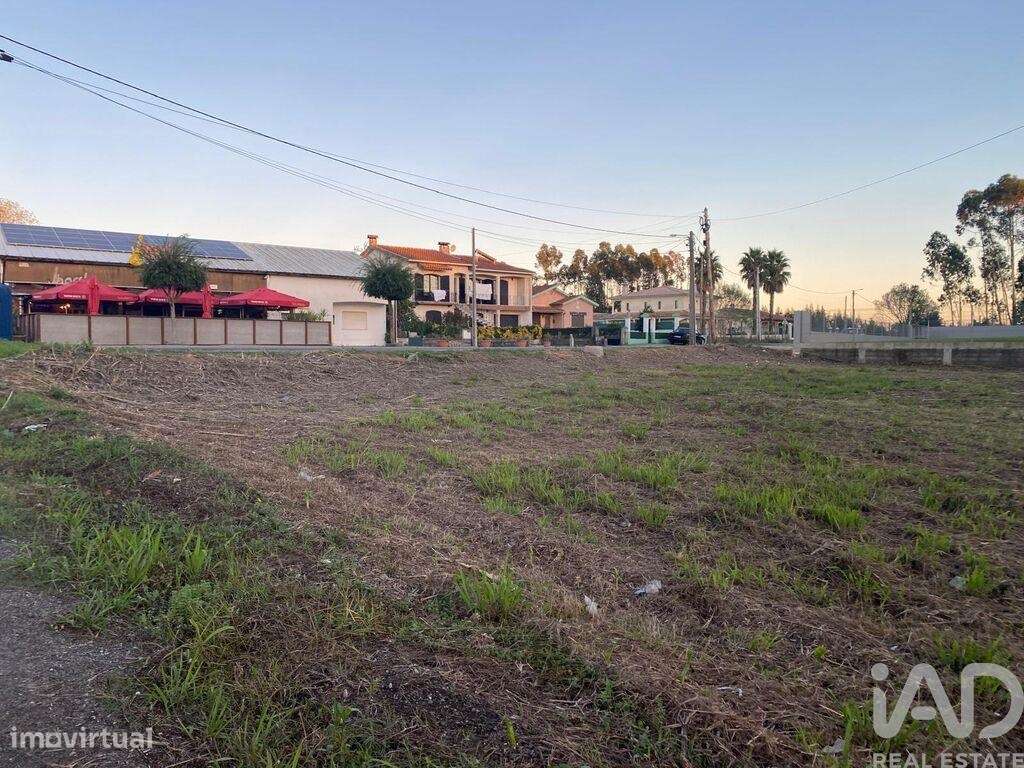 Terreno Agrícola em Bustos, Troviscal e Mamarrosa - Grande imagem: 4/5