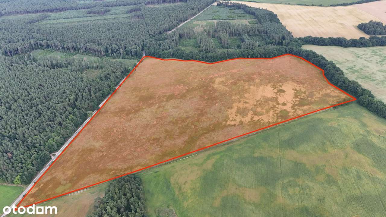 Działka rolna przy lesie i asfalcie w Białowąsie, raty 0%