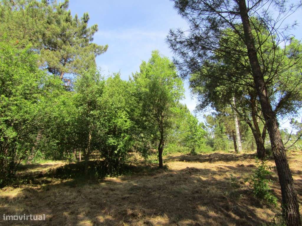 P26-238 Casal da Loba - Terreno Urbanizável no Centro de Portugal e...-11