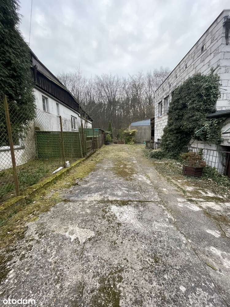 Wynajmę wiatę 200, 100, 50 m2 w Policach - Pełny obrazek: 5/20