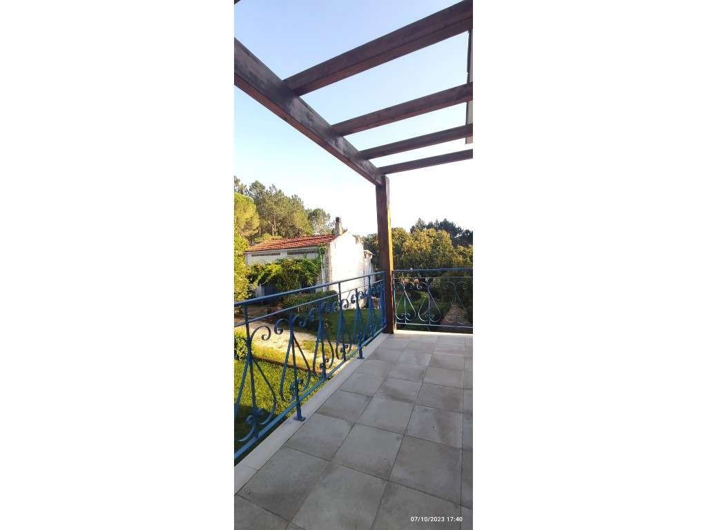 Quinta com duas moradias, anexos, diversas arvores de fruto, vinha ...-42