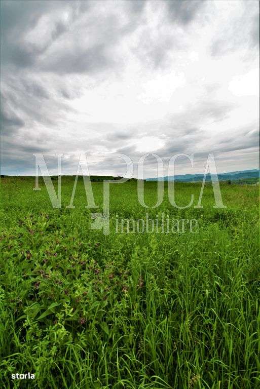 Teren extravilan pentru constructii de vanzare in Popesti - Imagine principală: 1/5