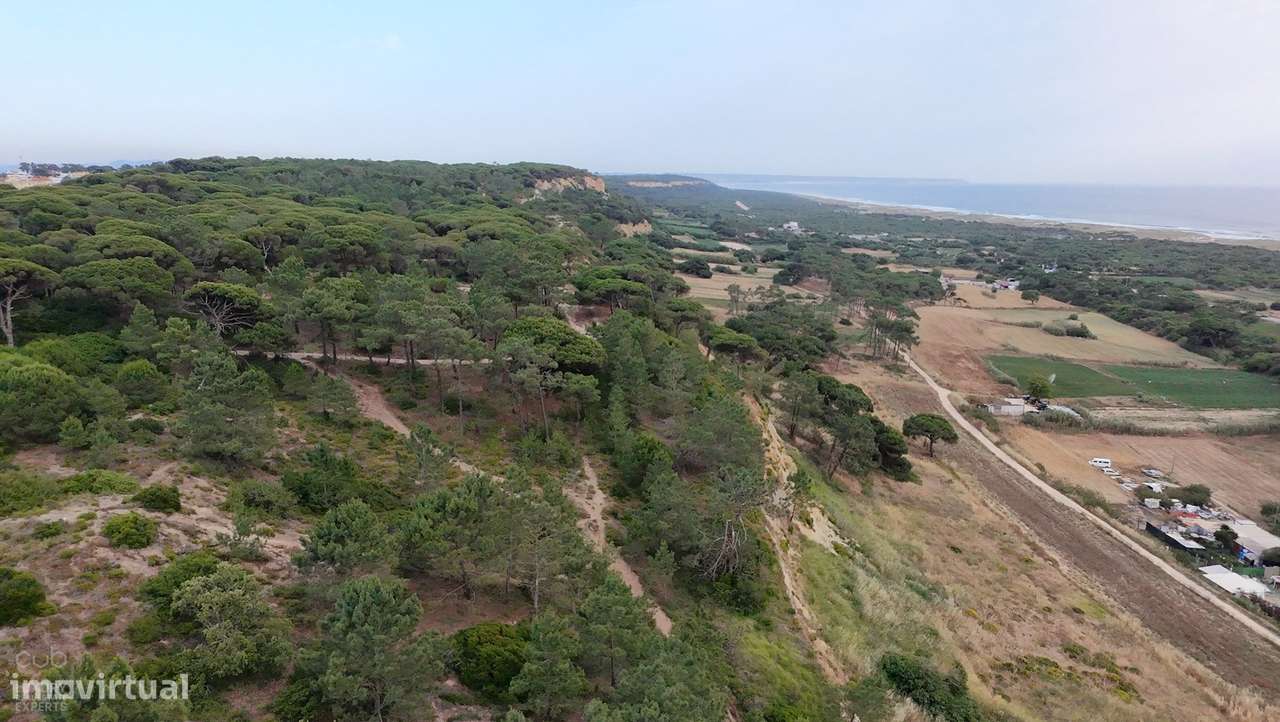 Terreno Rústico com Vista Mar e Potencial Ecológico-5