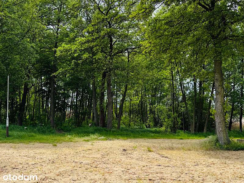 Przepiękna działka Strzeszów Nad Jeziorem-7