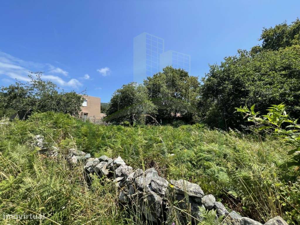 Terreno de construção em Afife. - Grande imagem: 5/21