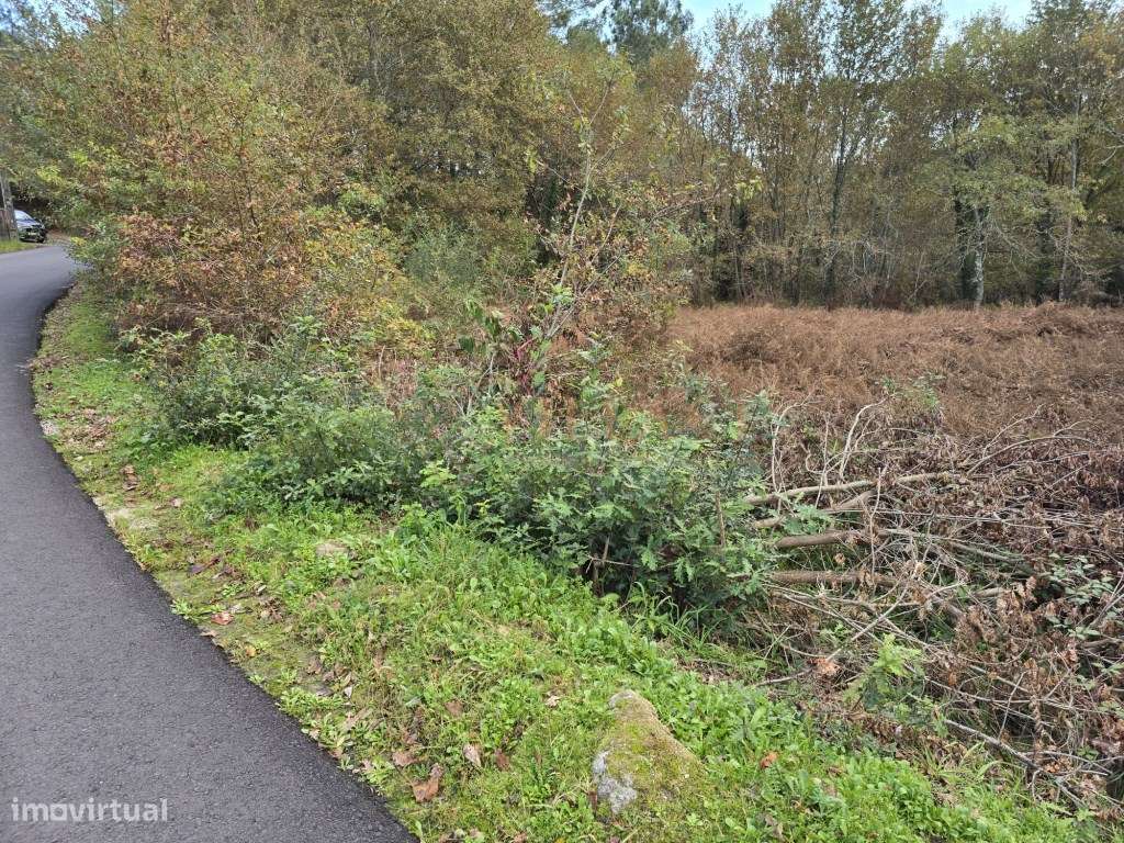 Terreno - Grande imagem: 5/8