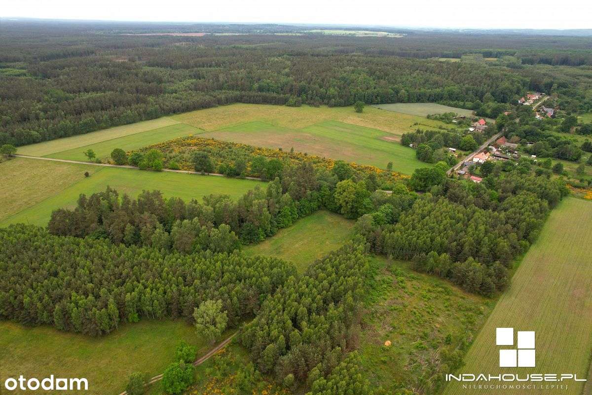 Działka budowlana z WZ, dookoła las - Pełny obrazek: 1/11