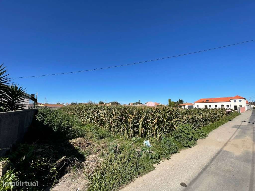 TERRENO P/ CONSTRUÇÃO - MURTOSA - Grande imagem: 2/4