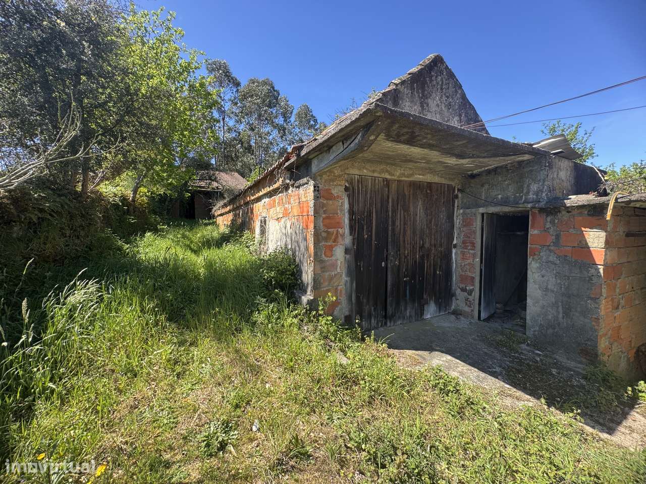 Quintinha – Oliveira de Frades-4