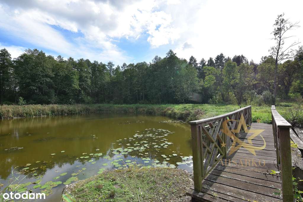 *Urocze miejsce*Morgi*6 ha inwestycji* - Pełny obrazek: 4/14