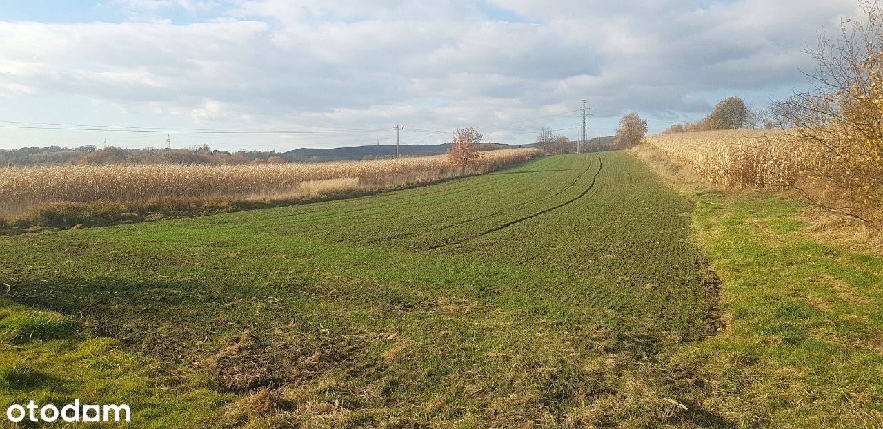 2 hektary pola ~ Jastrzębie Zdrój - obręb Szeroka