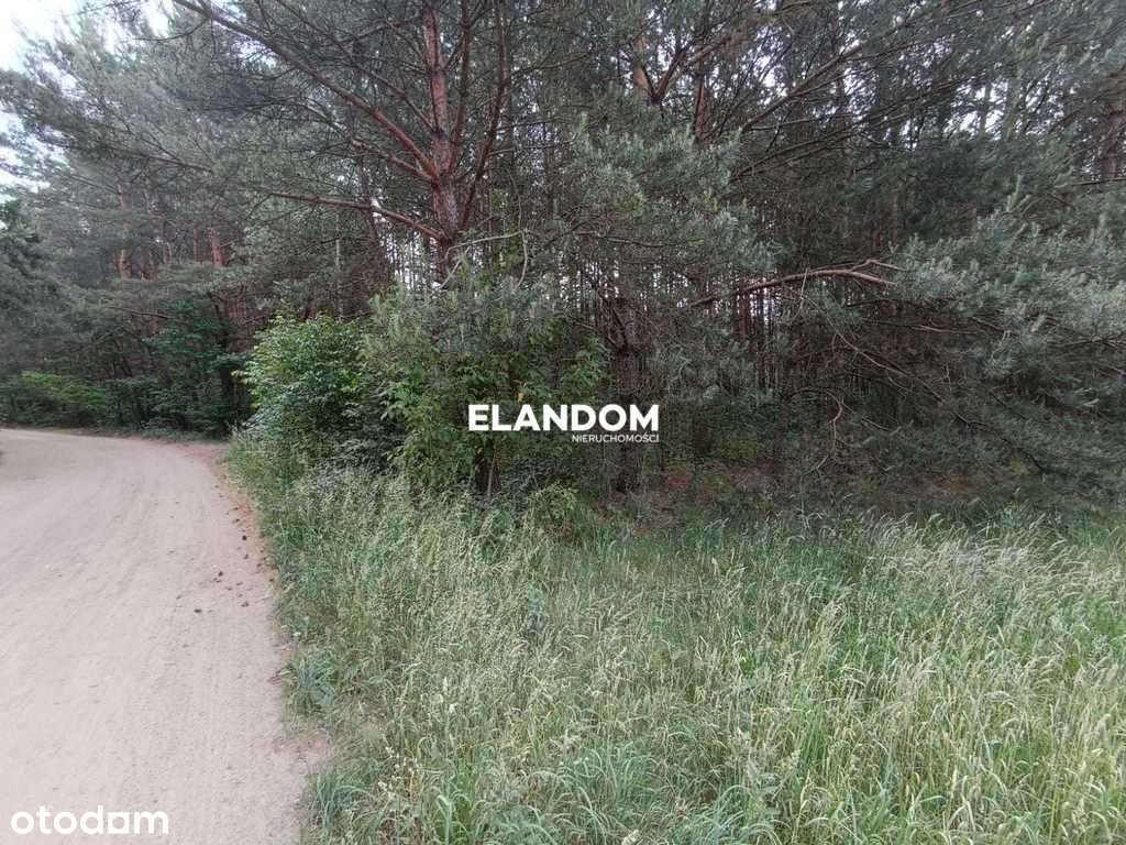 Działka rolno leśna Kołbiel ul Polna - Pełny obrazek: 4/8