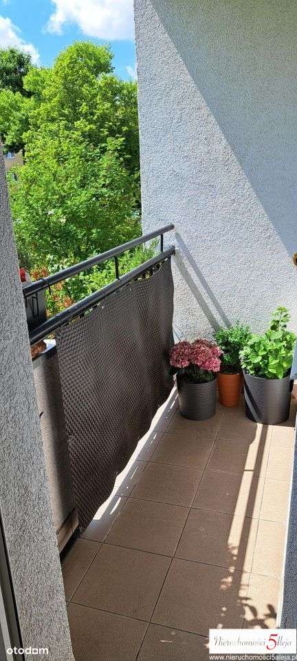 37m2 zielony Dębiec ul Orzechowa balkon 1piętro-7