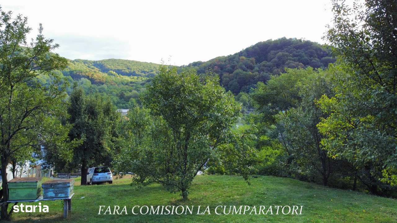 TEREN 1869 MP, CADRU NATURAL SUPERB, TOATE UTILITATILE-10