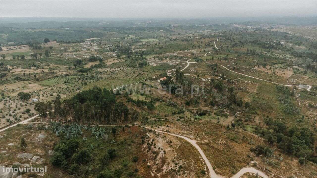 Quinta / Seia, Sameice e Santa Eulália - Grande imagem: 4/14