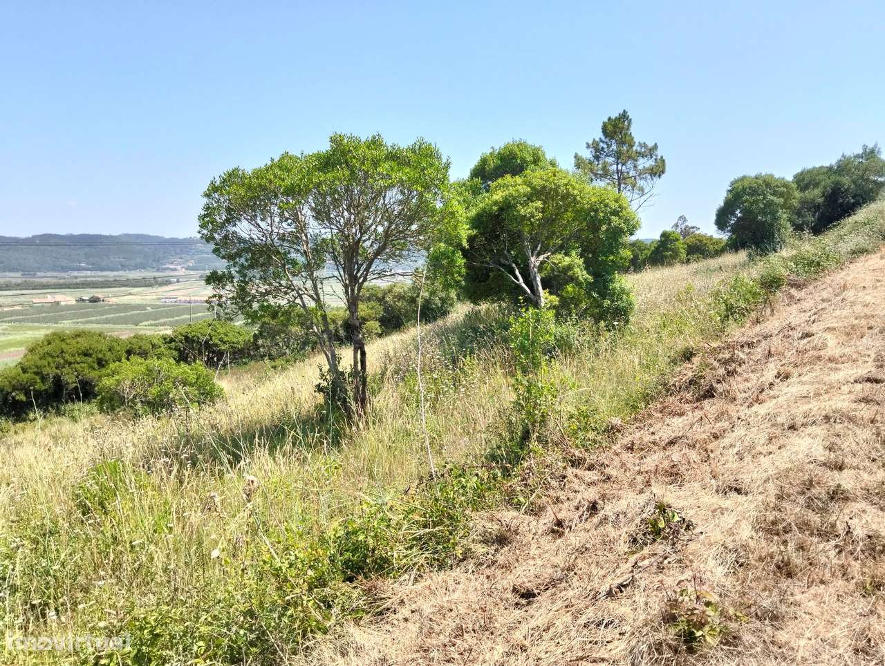 Terreno Estrada p/serra da pescaria /Praia do Salgado-Nazaré -Leiria-7
